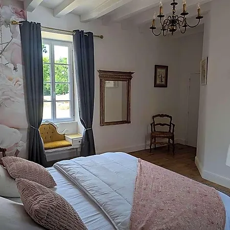 Du Chateau De Saint Saturnin Sur Loire *