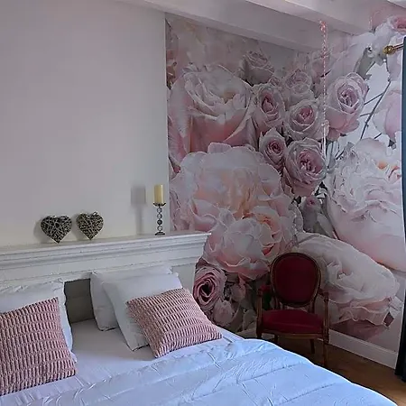 Du Chateau De Saint Saturnin Sur Loire Hotel