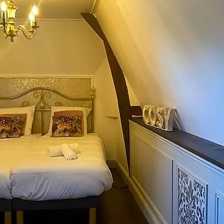 Du Chateau De Saint Saturnin Sur Loire Brissac-Quince